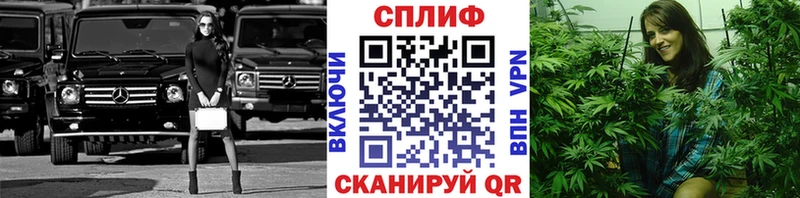 Где купить наркоту Пятигорск Гашиш  A PVP  КОКАИН  АМФЕТАМИН  Каннабис  Мефедрон 