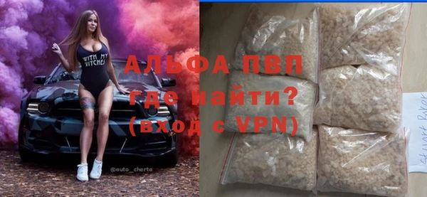 PSILOCYBIN Бородино