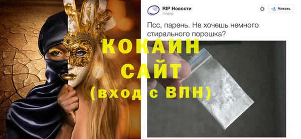 PSILOCYBIN Бородино