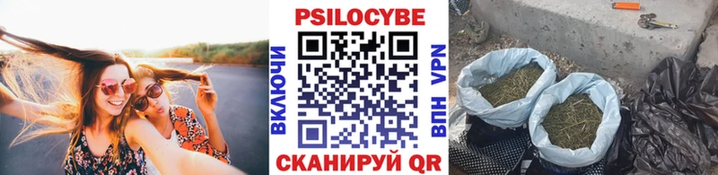 Псилоцибиновые грибы Psilocybine cubensis  даркнет сайт  кракен ССЫЛКА  Пятигорск 
