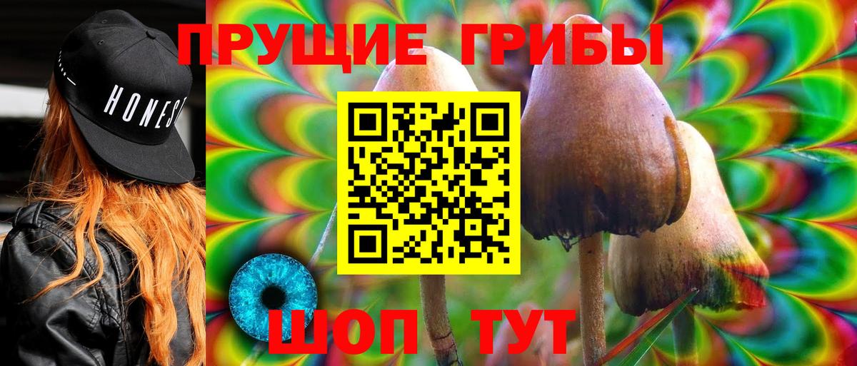 Псилоцибиновые грибы Psilocybe Пятигорск
