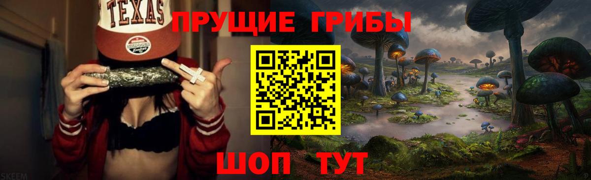 где найти наркотики  Вход с VPN  Псилоцибиновые грибы Magic Shrooms  Пятигорск  Псилоцибиновые грибы ЛСД 